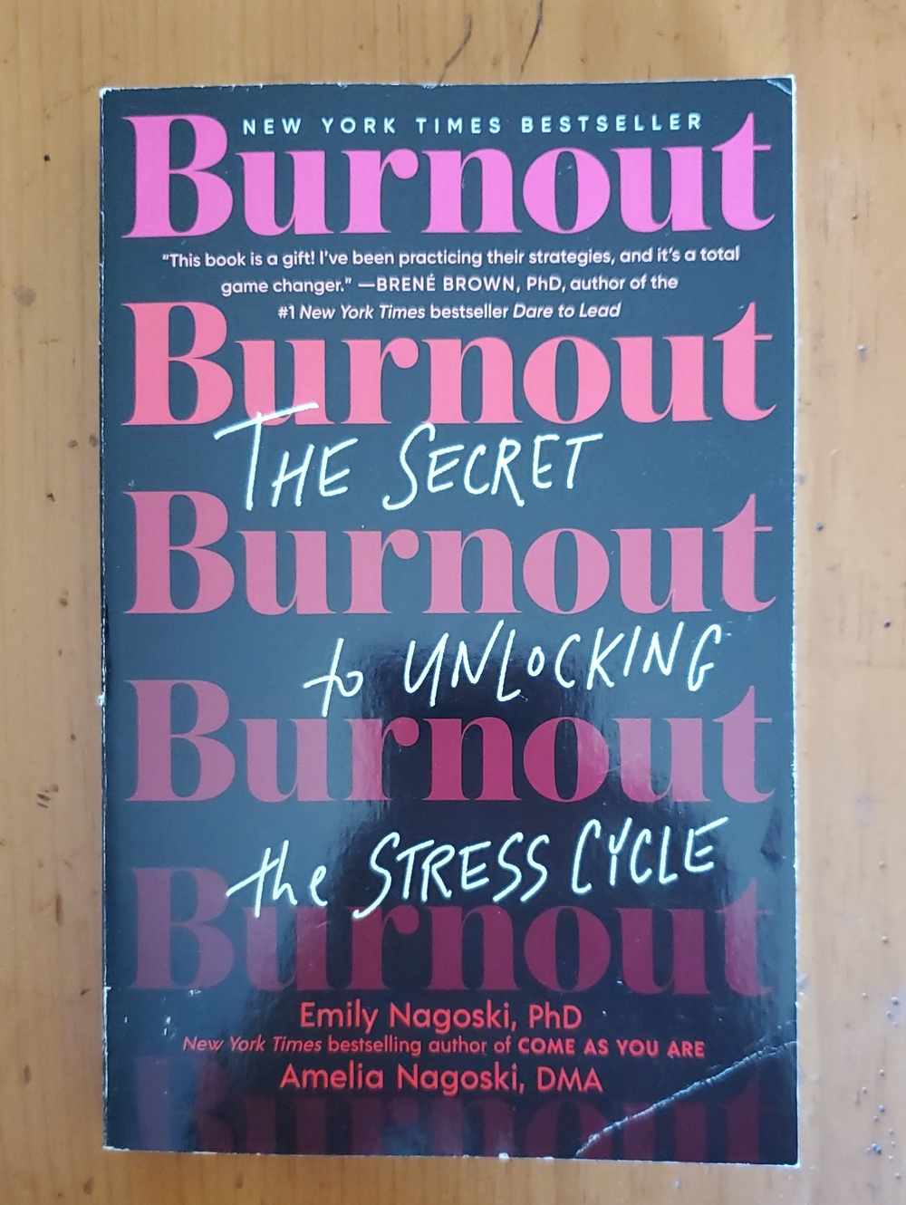 Burnout The Secret to Unlocking the Stress Cycle Paperback Book